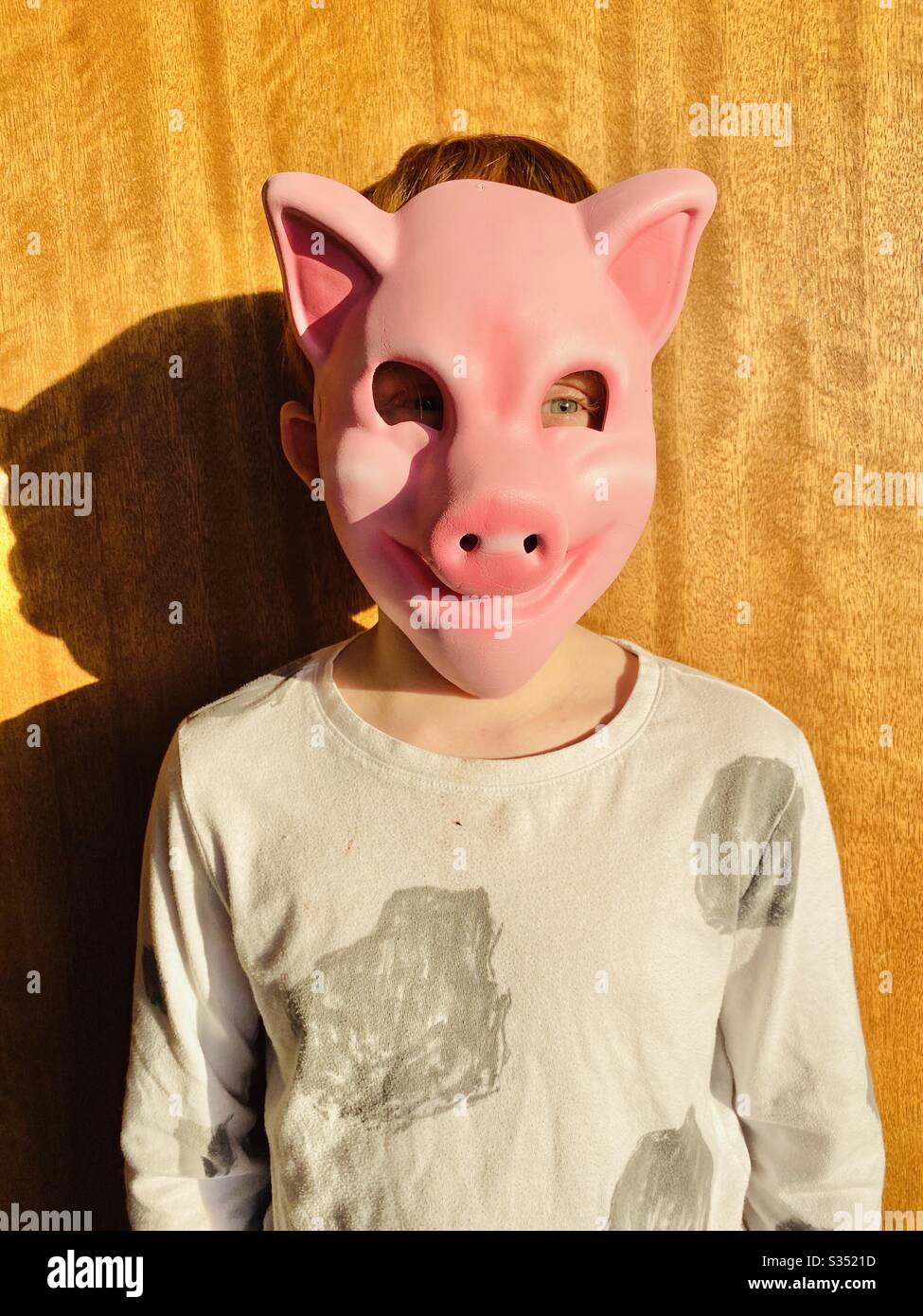 Niño en una máscara de cerdo Fotografía de stock - Alamy