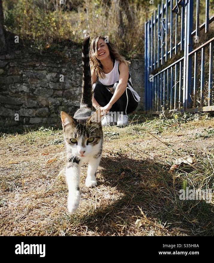 Un lindo gatito Foto de stock