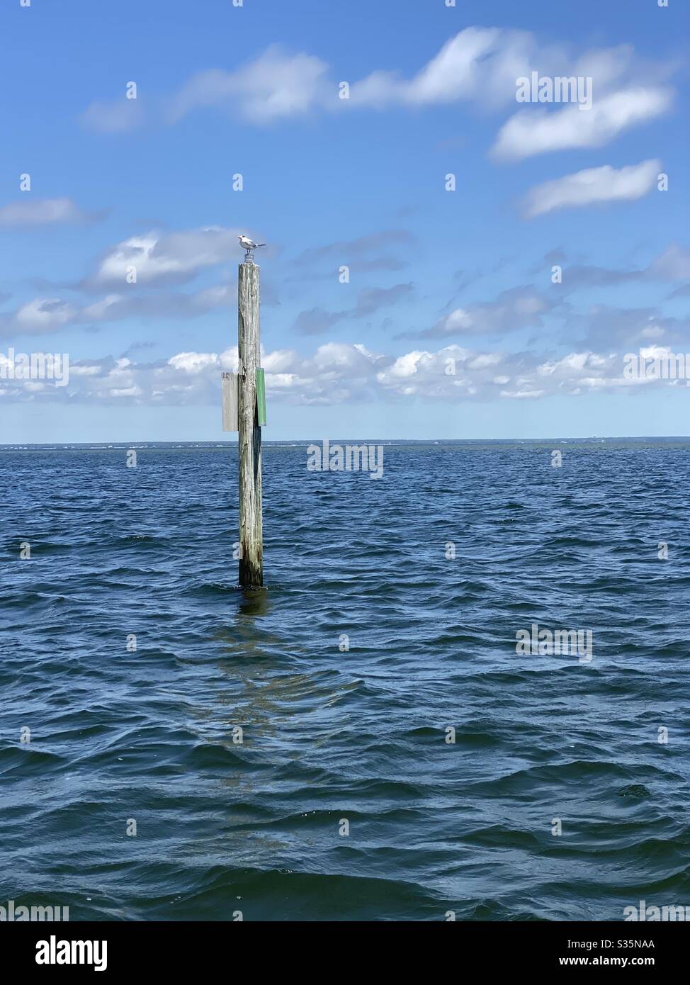 Aguas azules profundas del Golfo de México con un marcador de barco y gaviota Foto de stock