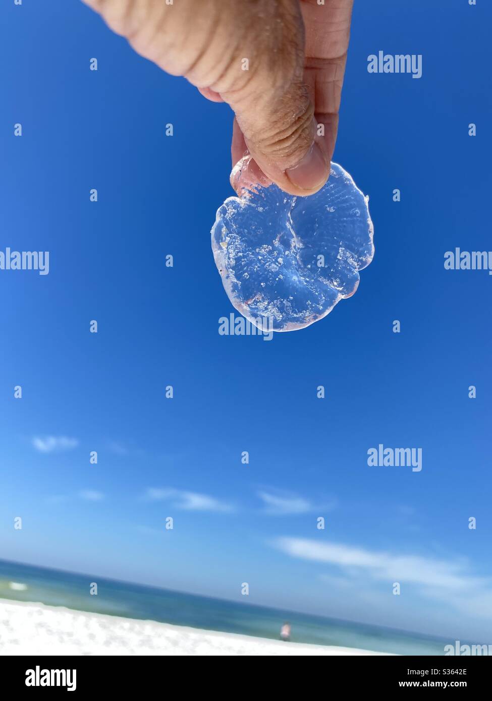 Sosteniendo a mano un medusa de cristal en la playa Foto de stock