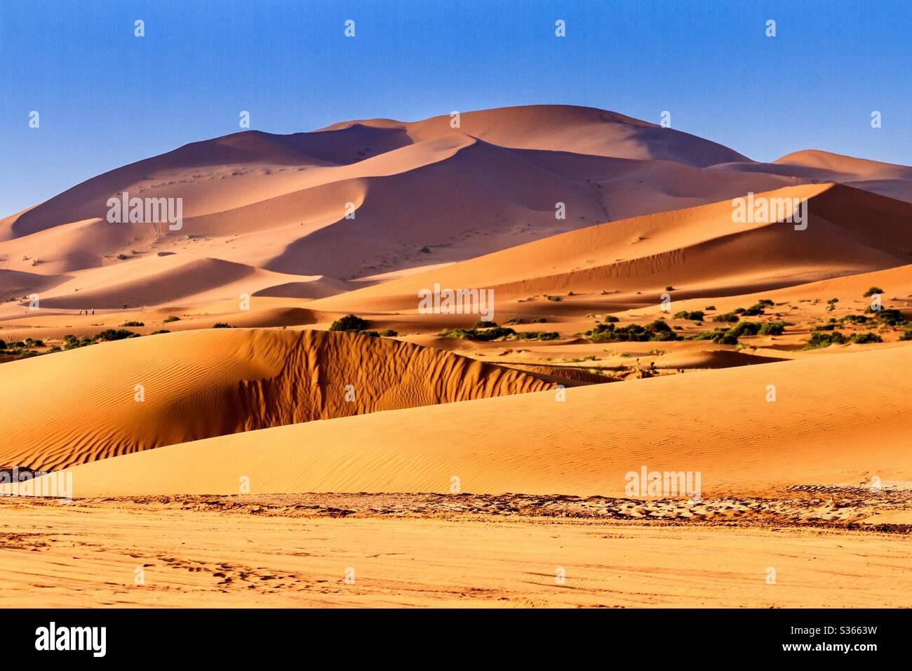 Dunas del desierto del Sahara Merzouga Marocco Foto de stock