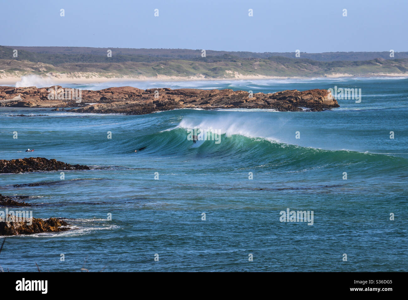 Surf Wild Place costa oeste Tasmania Foto de stock
