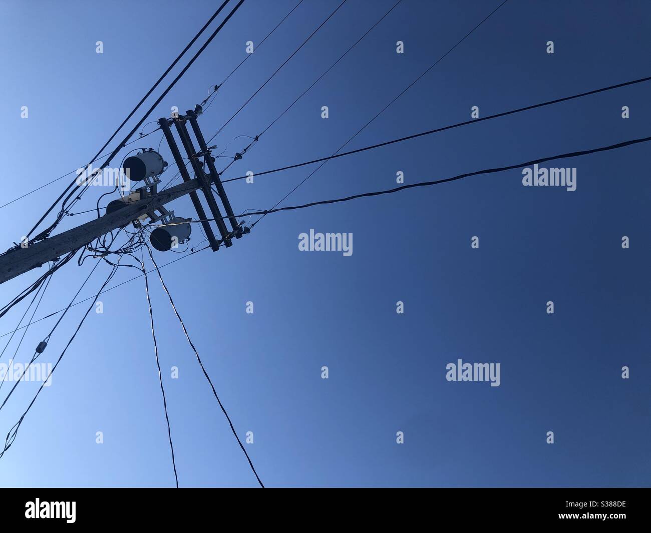 Polo telefónico desde ángulo bajo bajo cielos azules en una soleada noche de julio en Renton, Washington Foto de stock