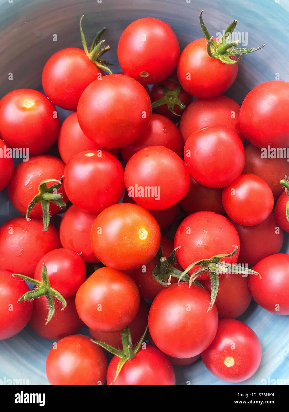 Tomates cherry en un tazón azul Foto de stock
