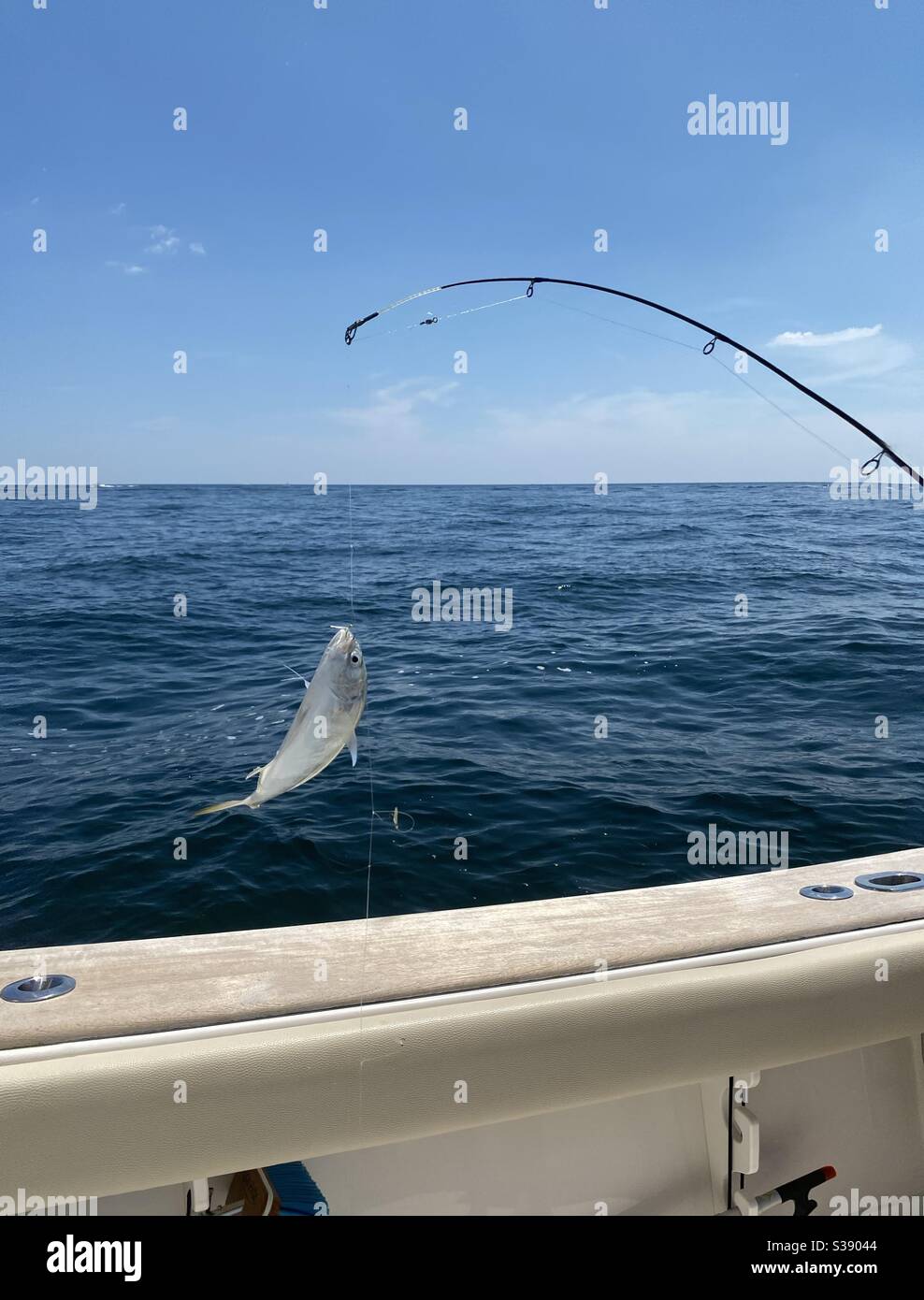 Pesca en mexico fotografías e imágenes de alta resolución - Página 5 - Alamy