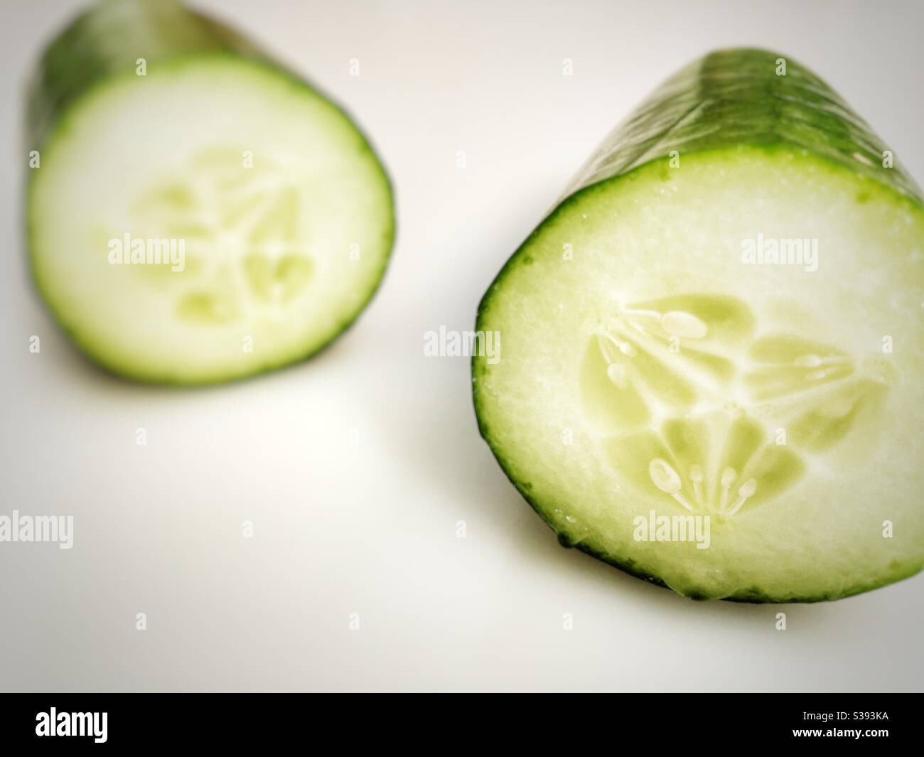 Pepino de jardín cultivado orgánicamente Foto de stock