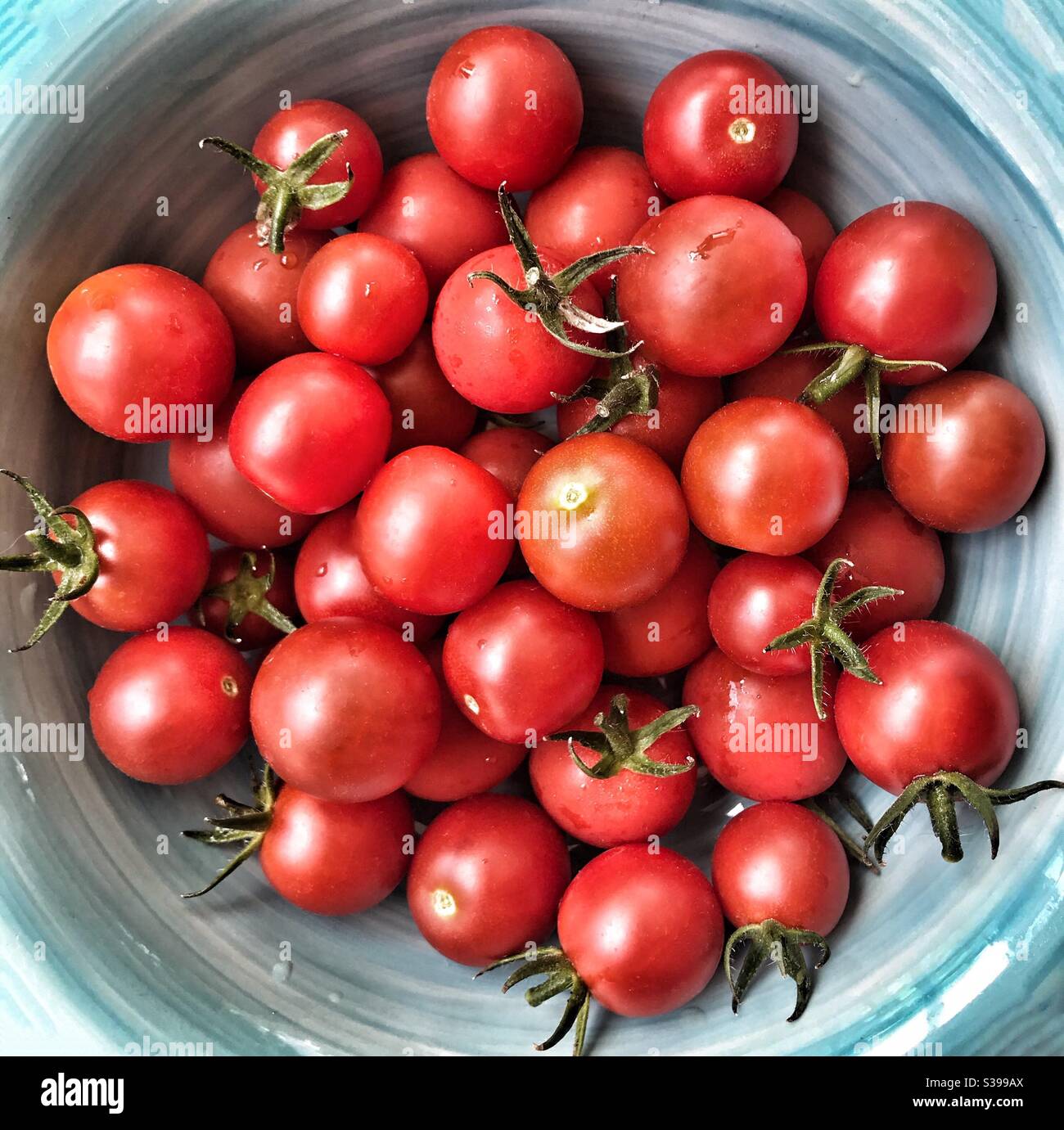 Tomates Cherry en un tazón Foto de stock