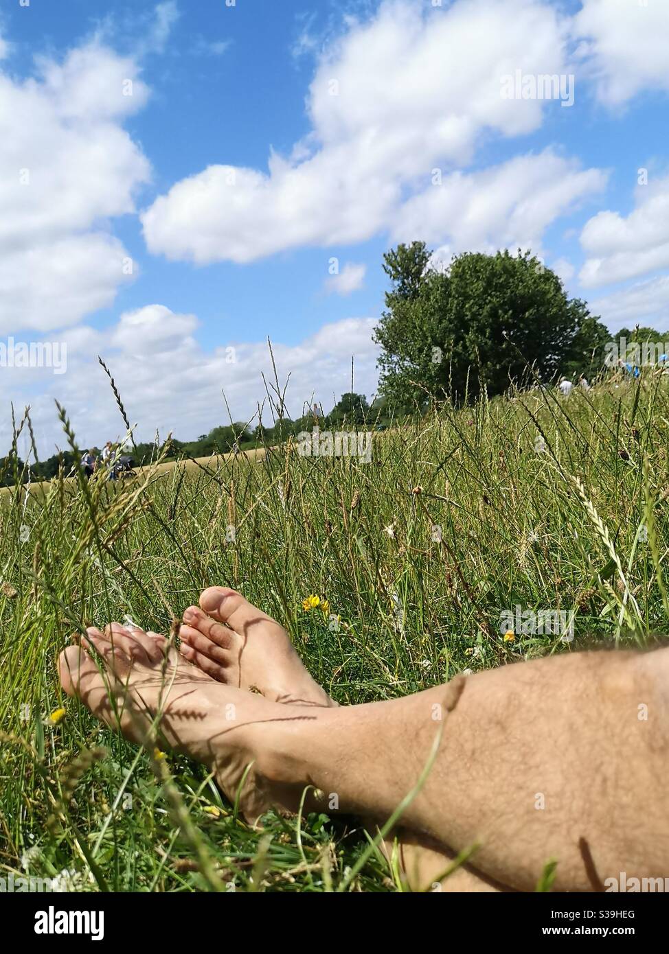 Los pies desnudos de los hombres en un campo de hierba verde Fotografía de  stock - Alamy