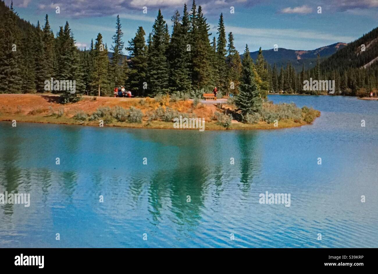 Viajar por Alberta. Canadian Rockies, Forget-me-Not Pond, Kananaskis país, diversión familiar Foto de stock