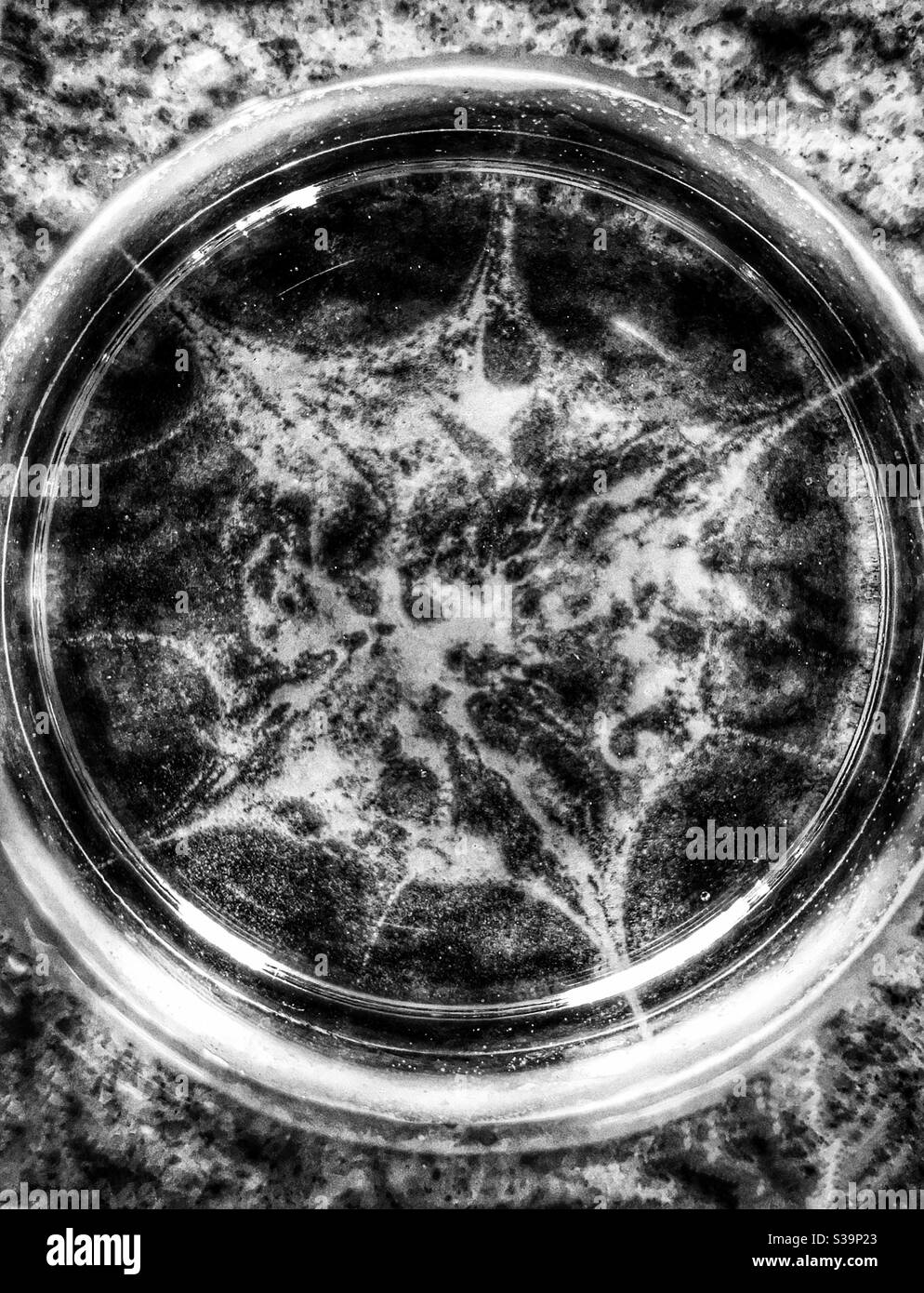Alcohol en un vaso de inyección, vista superior, blanco y negro Foto de stock