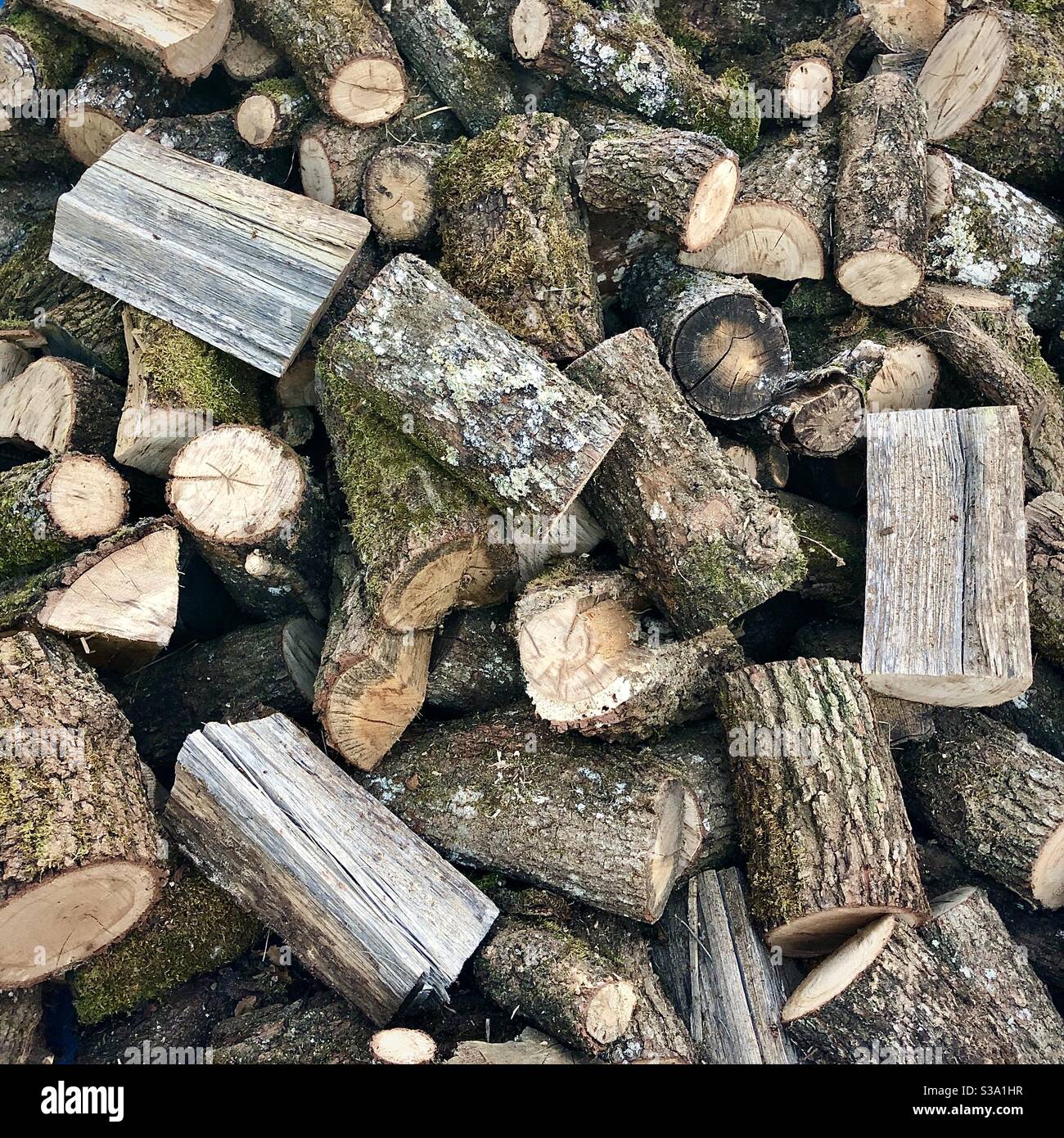 Pila de troncos de roble para leña. Foto de stock