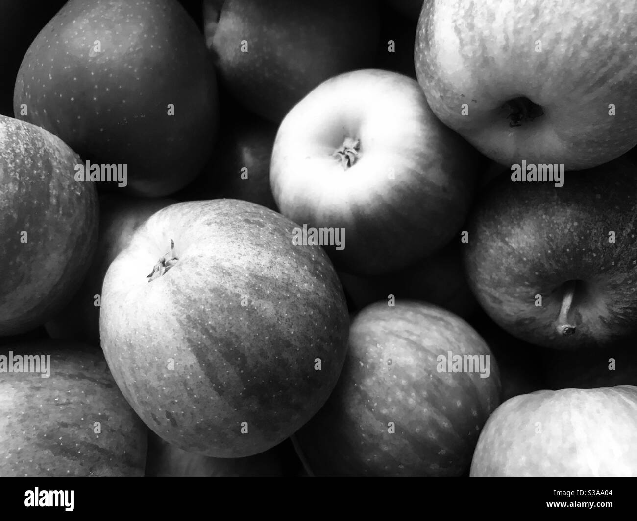 Las manzanas en blanco y negro Fotografía de stock Alamy