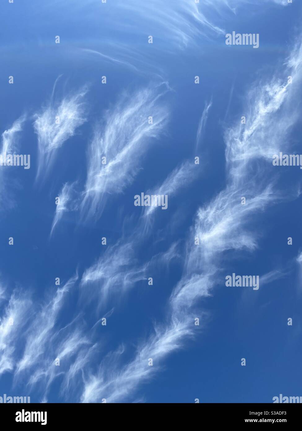 Nubes de plumas fotografías e imágenes de alta resolución - Alamy
