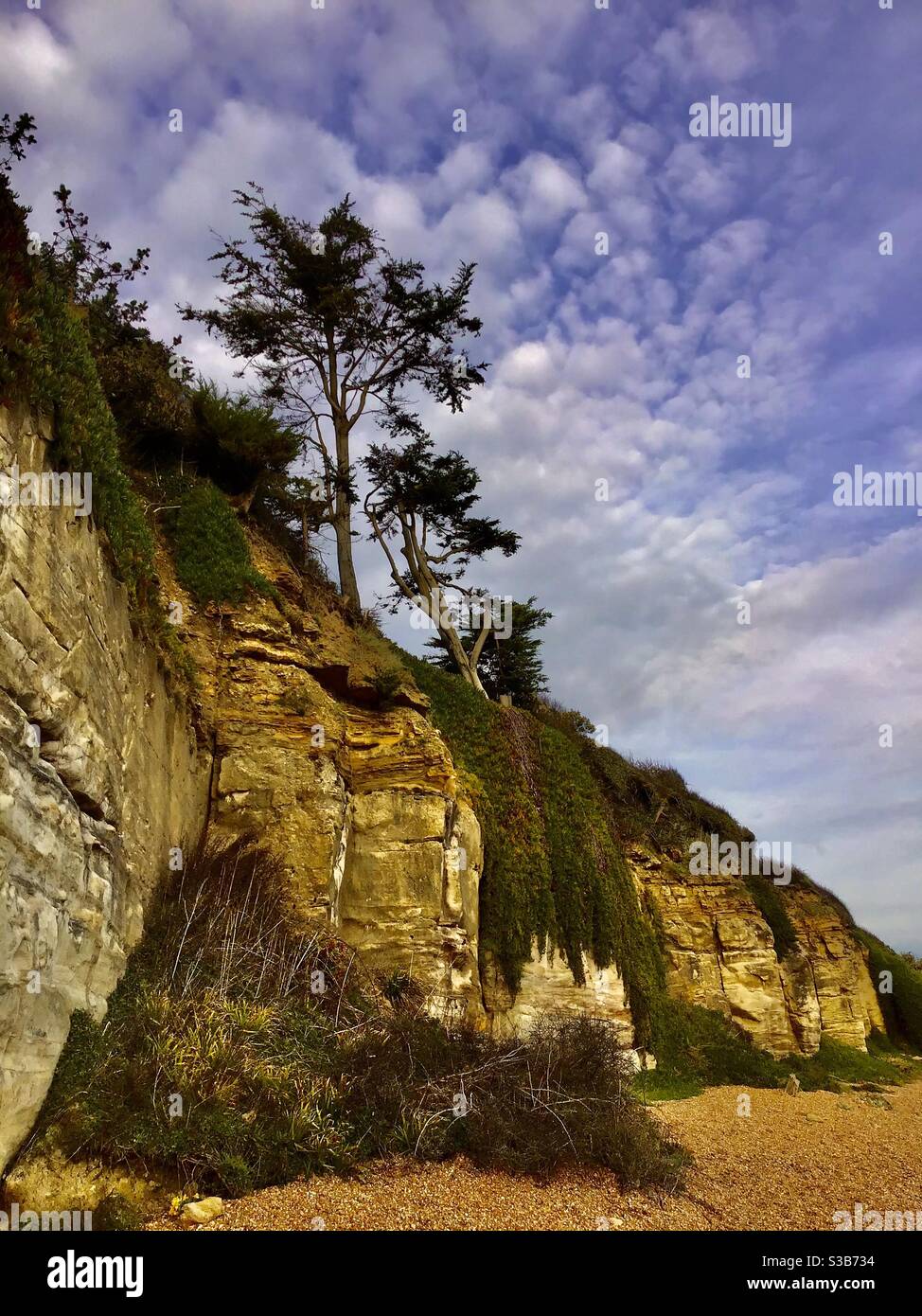 Acantilado de piedra arenisca en una playa de Sussex Foto de stock