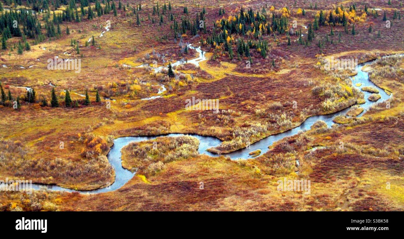 Wild Alaskan Tundra tiro aéreo de río sinuoso Foto de stock