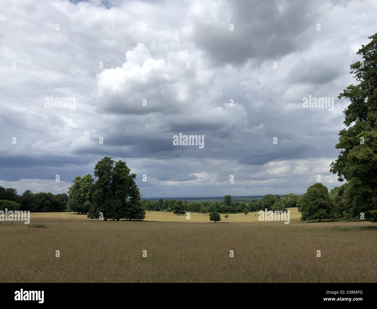 Norbury Park, Surrey Foto de stock