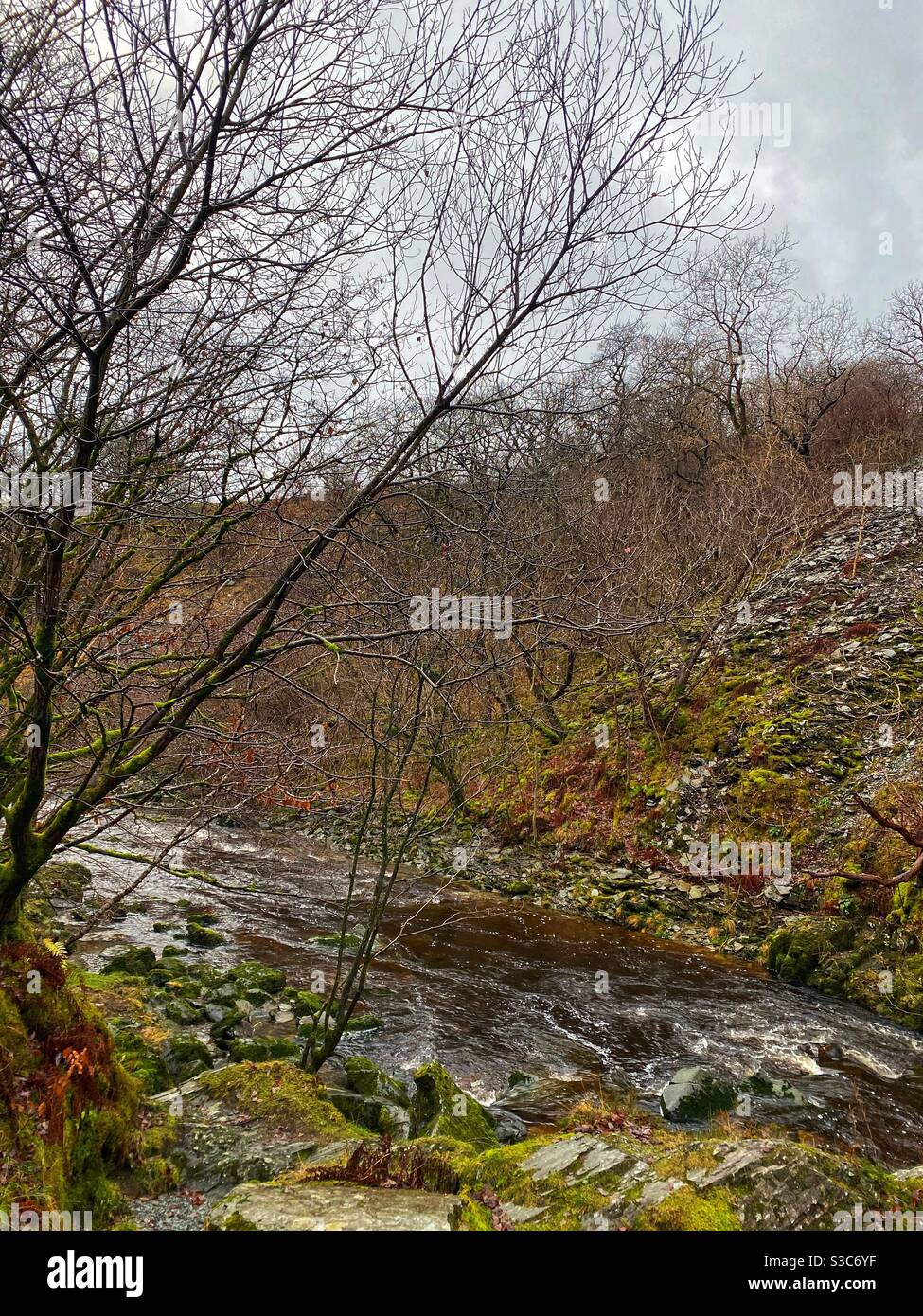 Paseo por la cascada de Ingleton, diciembre de 2020 Foto de stock