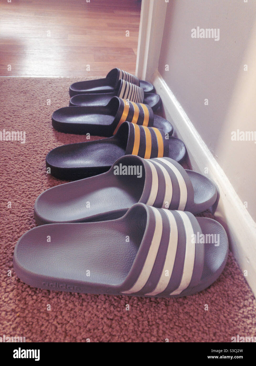 Zapatillas familiares alineadas en el vestíbulo Fotografía de stock - Alamy