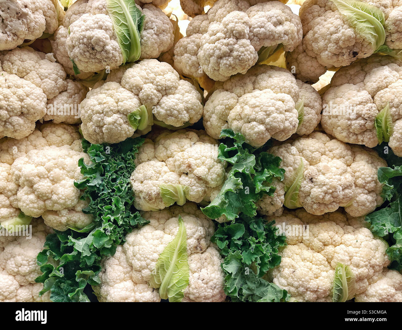 Coliflor y col rizada Foto de stock