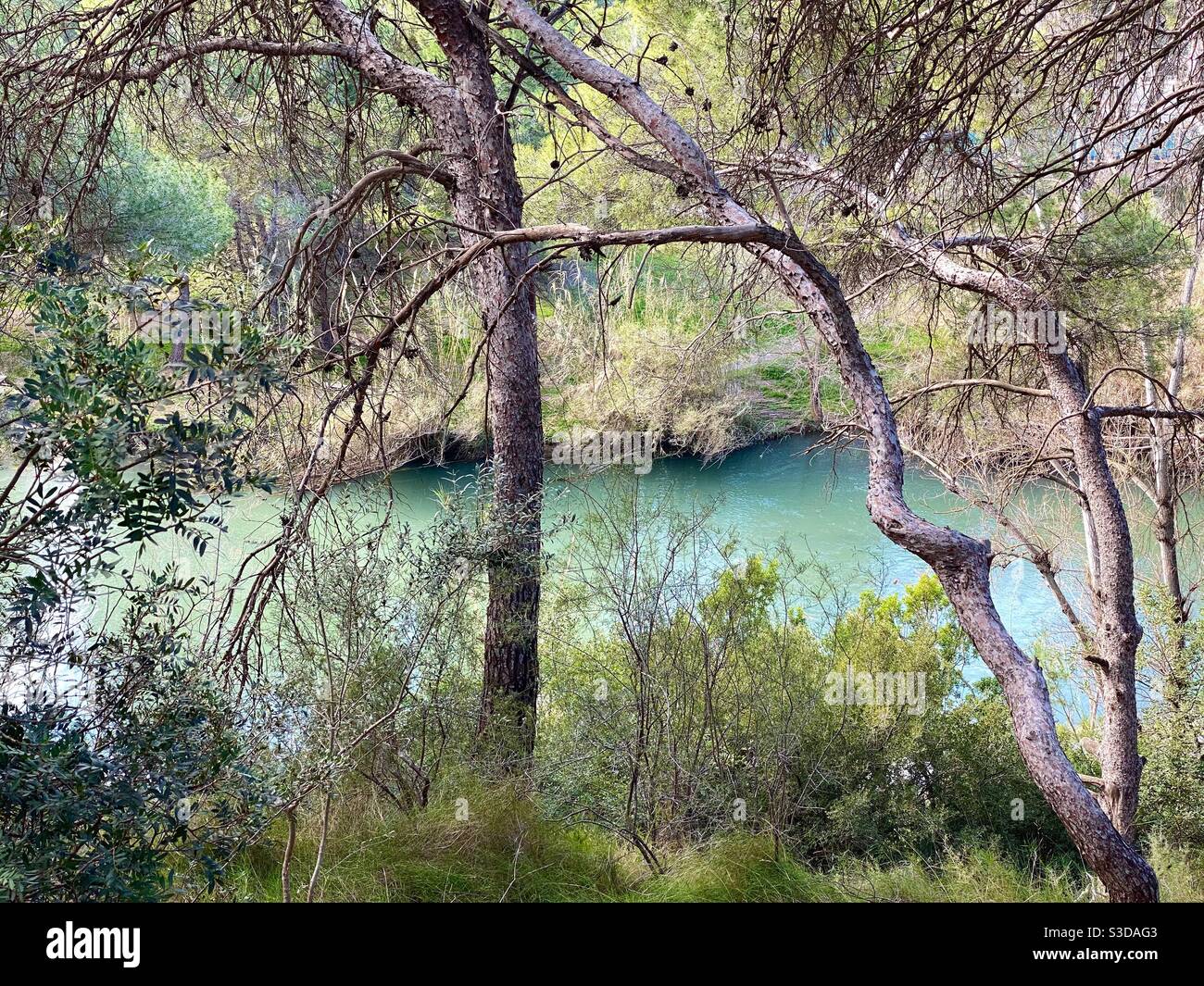 Río Turia en la Canyada Foto de stock