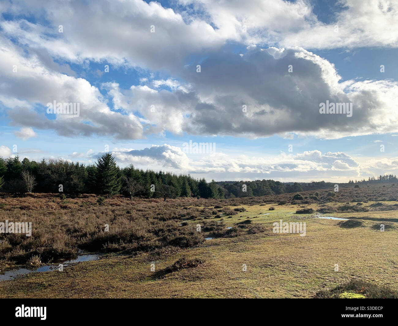 Bosque vistas al bosque fotografías e imágenes de alta resolución Alamy