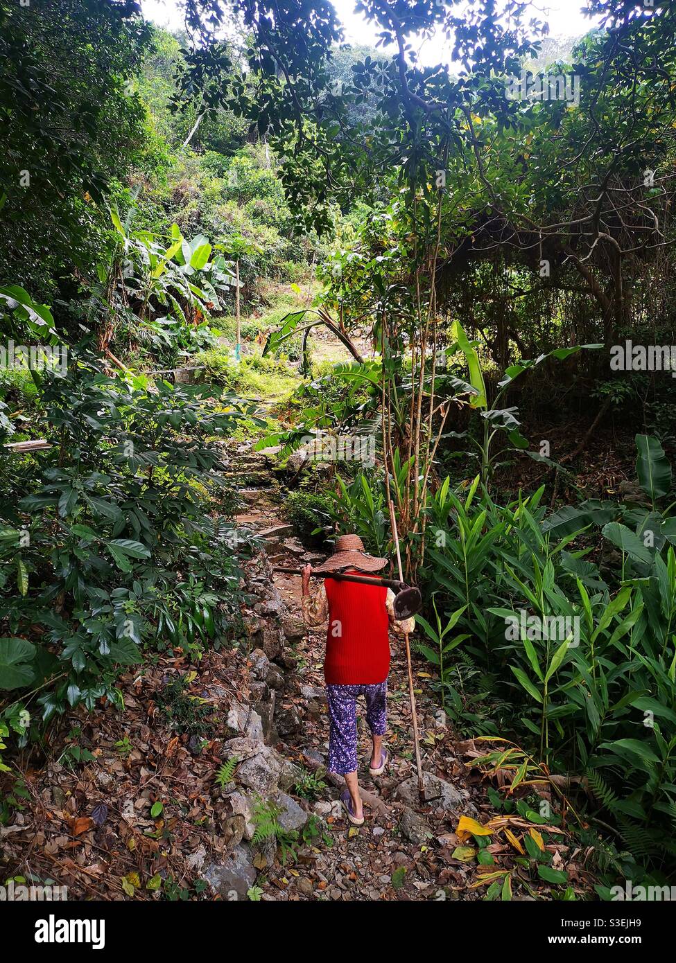 Una anciana campesina caminando a su pequeña granja en Pak Kok, isla Lamma, Hong Kong. Foto de stock