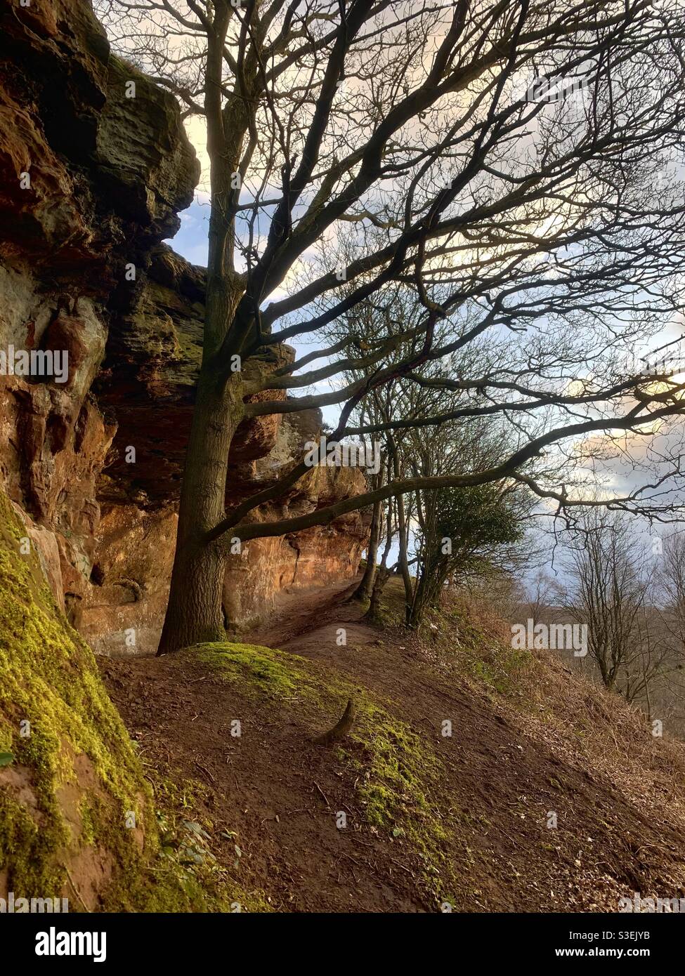 Un acantilado de arenisca en las colinas de Cheshire, Reino Unido Foto de stock
