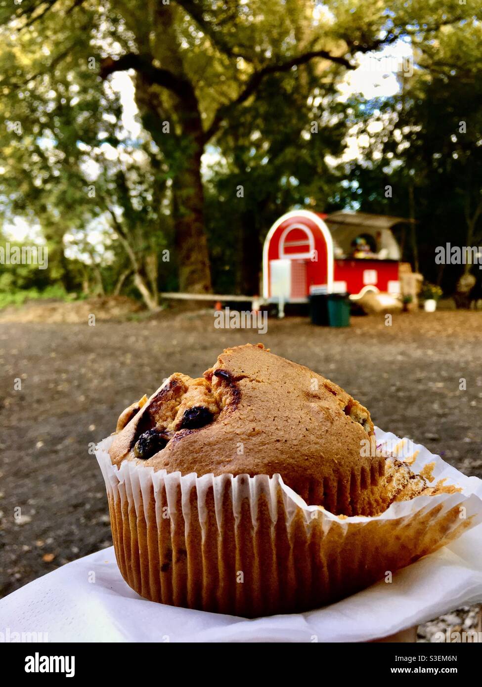 Muffin de arándano con un soporte de café en el fondo Foto de stock