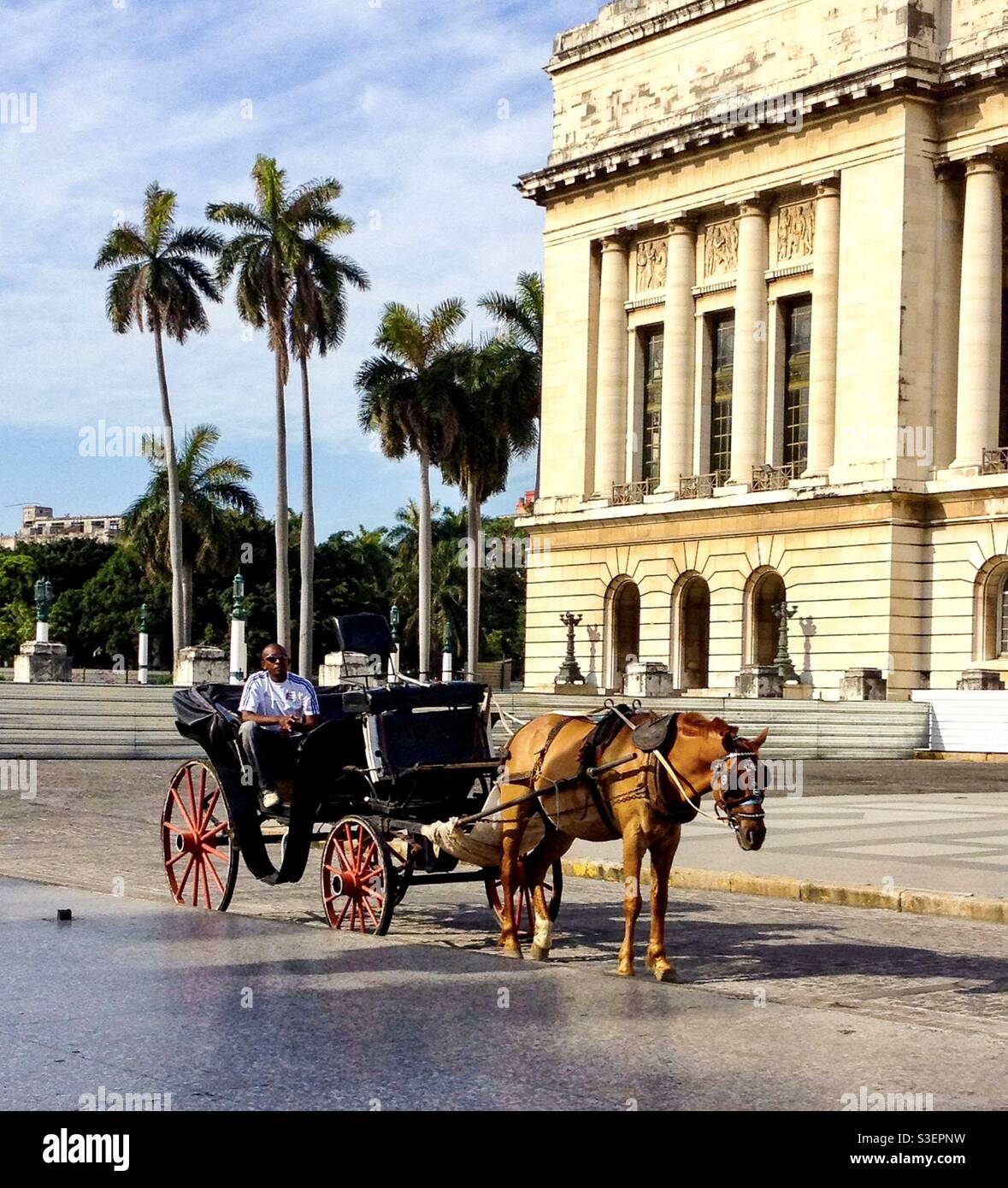 Hombre local a caballo y en carruaje esperando clientes turísticos en La Habana, Cuba Foto de stock