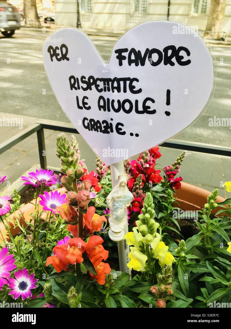 “Por favor respete los lechos de flores, gracias” en Via Merulana, Roma Italia Fotografía de