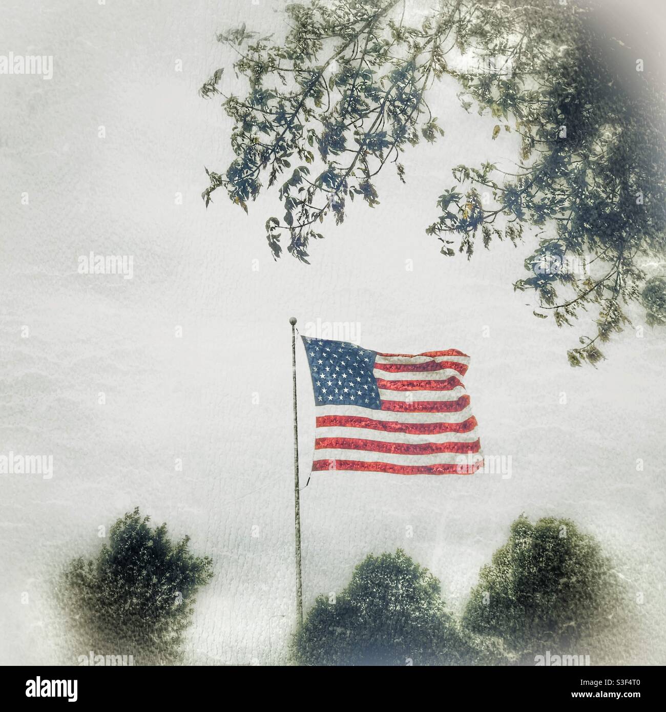 Bandera Americana volando entre un fondo blanco Foggy rodeado por Árboles Foto de stock