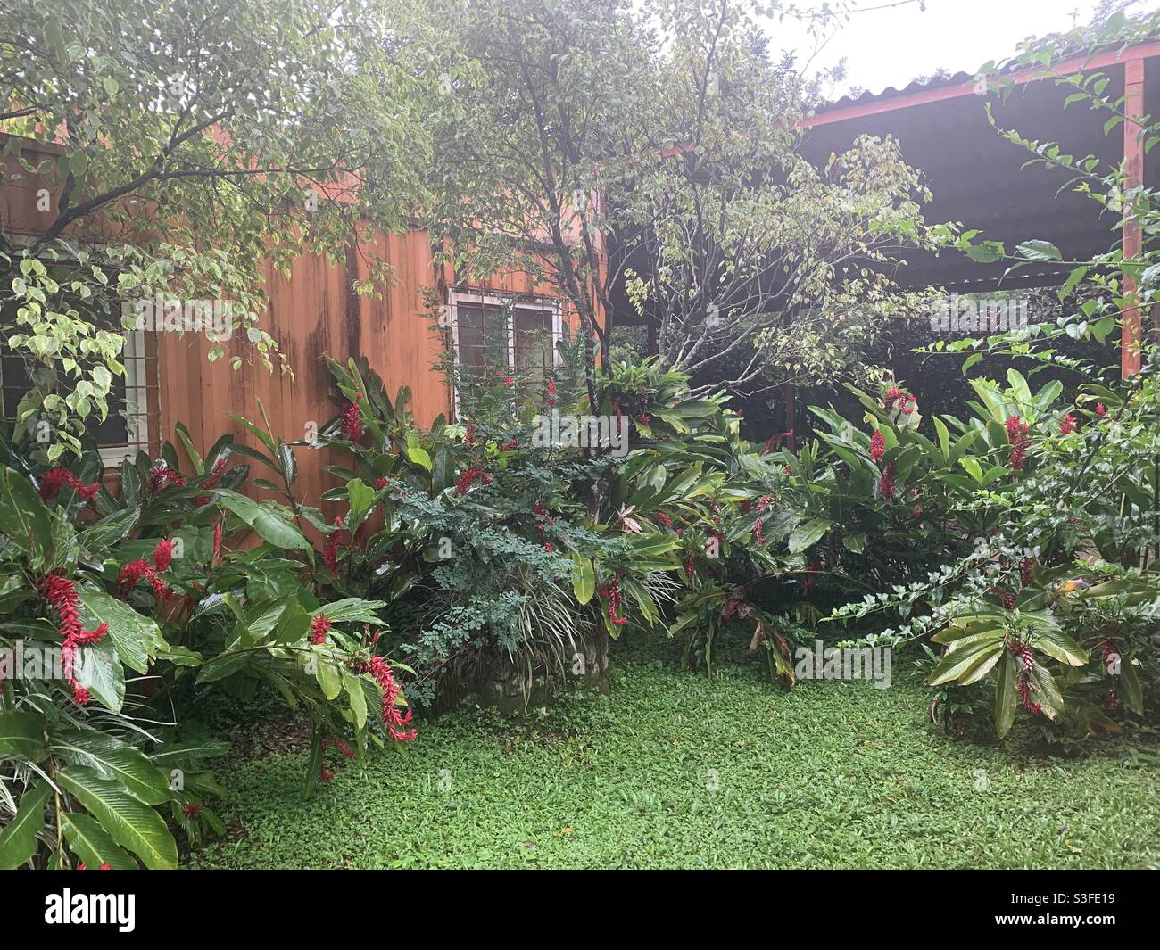 Jardín de casas de contenedores en el Valle de Anton, Cocle, República de Panamá. Foto de stock