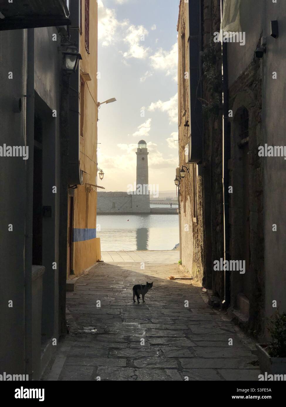 Rethymno, Creta. El faro es el símbolo de la ciudad. Un gato callejero mira  hacia el fotógrafo en un callejón estrecho que conduce al puerto veneciano  Fotografía de stock - Alamy