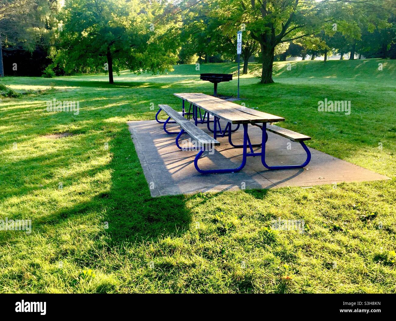 Lugar de picnic en un ambiente de sylvan, con luz y sombra jugando a hide and Seek, Ontario, Canadá. Todavía no hay gente. Conceptos: Invitando, al aire libre, agradable. Foto de stock