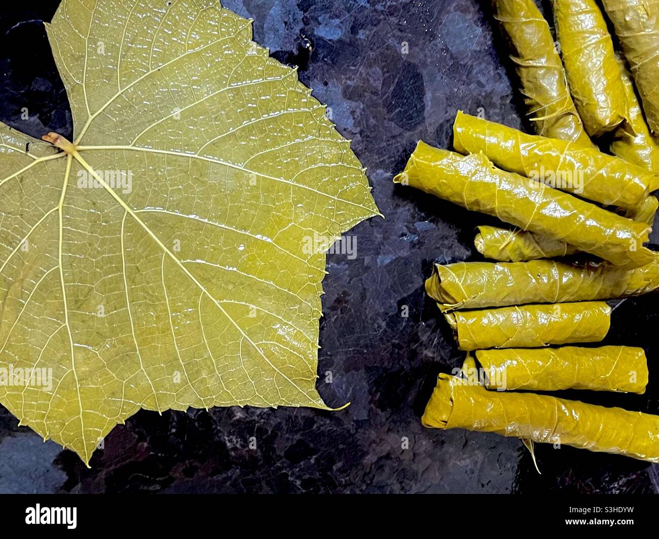 Hojas arabes fotografías e imágenes de alta resolución Alamy