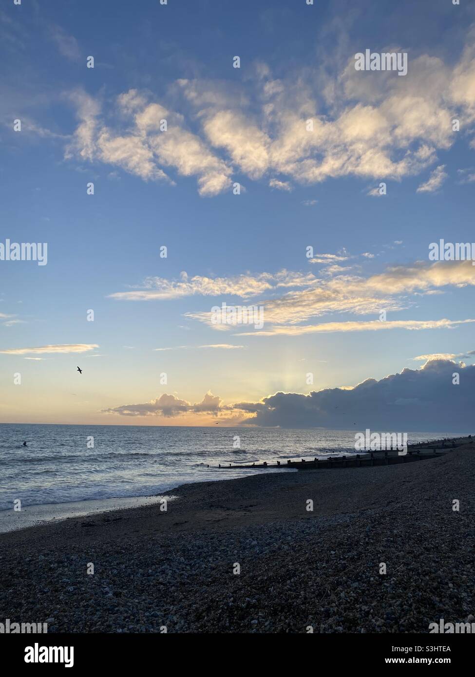 Worthing playa puesta de sol con la única gaviota Foto de stock