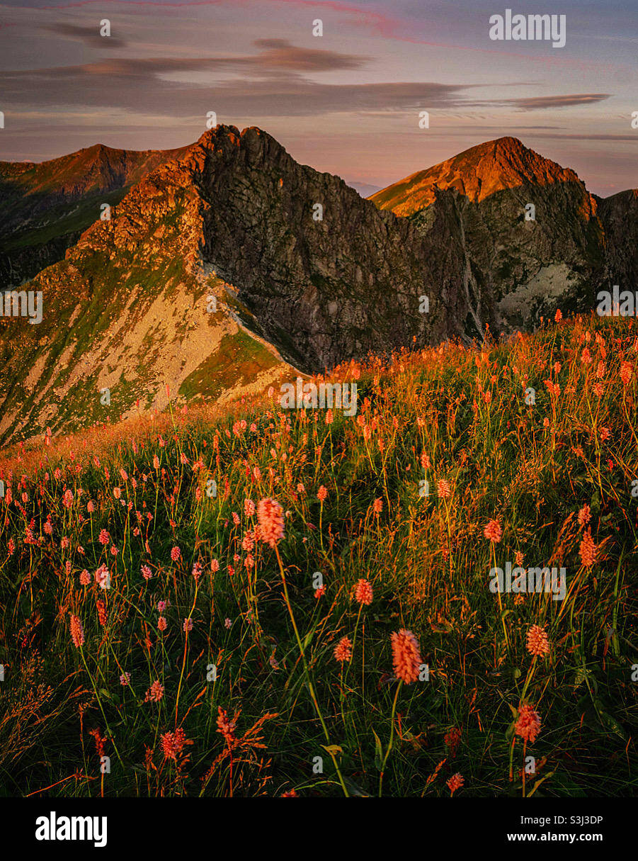 Eslovaquia Tatras occidentales , Ostrý Rahač Foto de stock