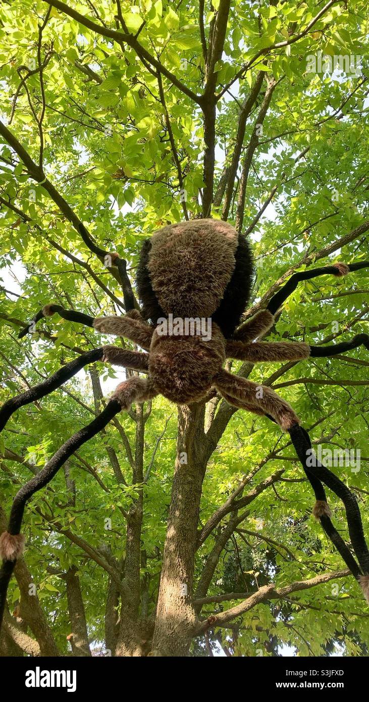 Araña peludo grande colgando de un árbol como una decoración de Halloween asustadiza. Foto de stock