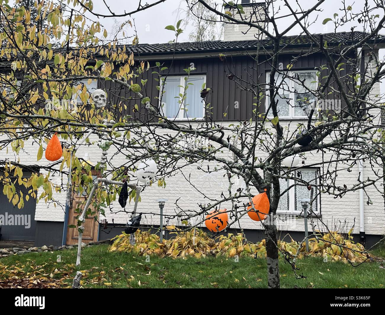 Decoración de Halloween Foto de stock