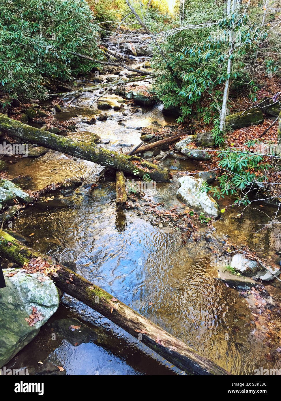 Smith Creek en Anna Ruby Falls en Helen Georgia. Foto de stock
