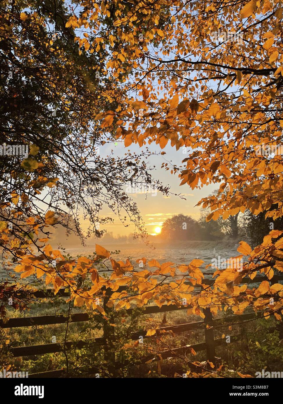 Impresionante Autumnal Otoño Amanecer Cambridgeshire Foto de stock