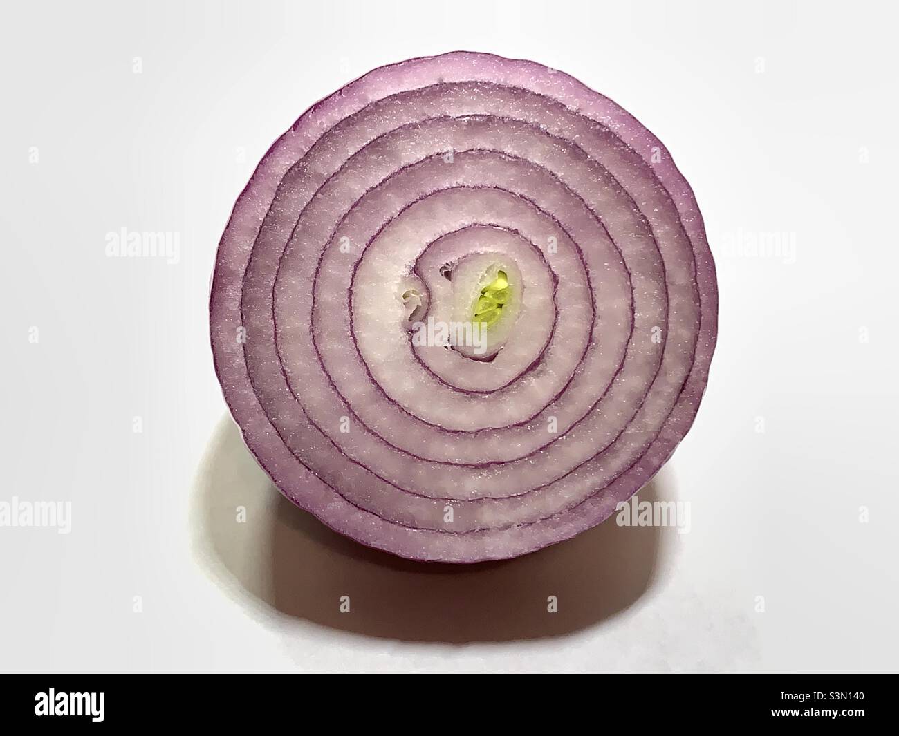 Cortar en rodajas una cebolla con un cortador de cebolla Fotografía de  stock - Alamy