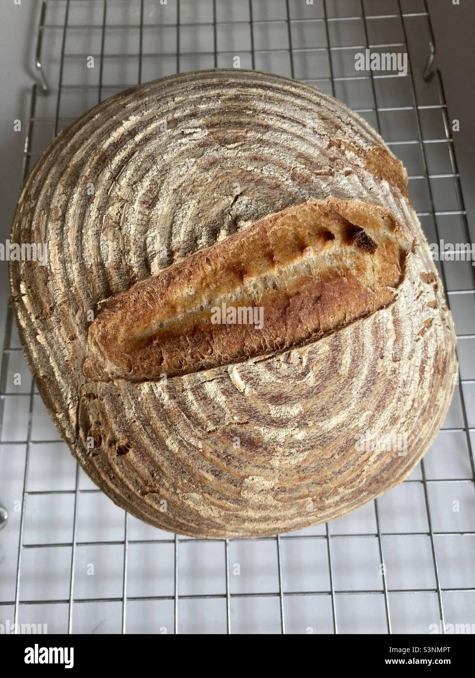 Pan recién horneado de masa fermentada que se enfría en un estante Foto de stock