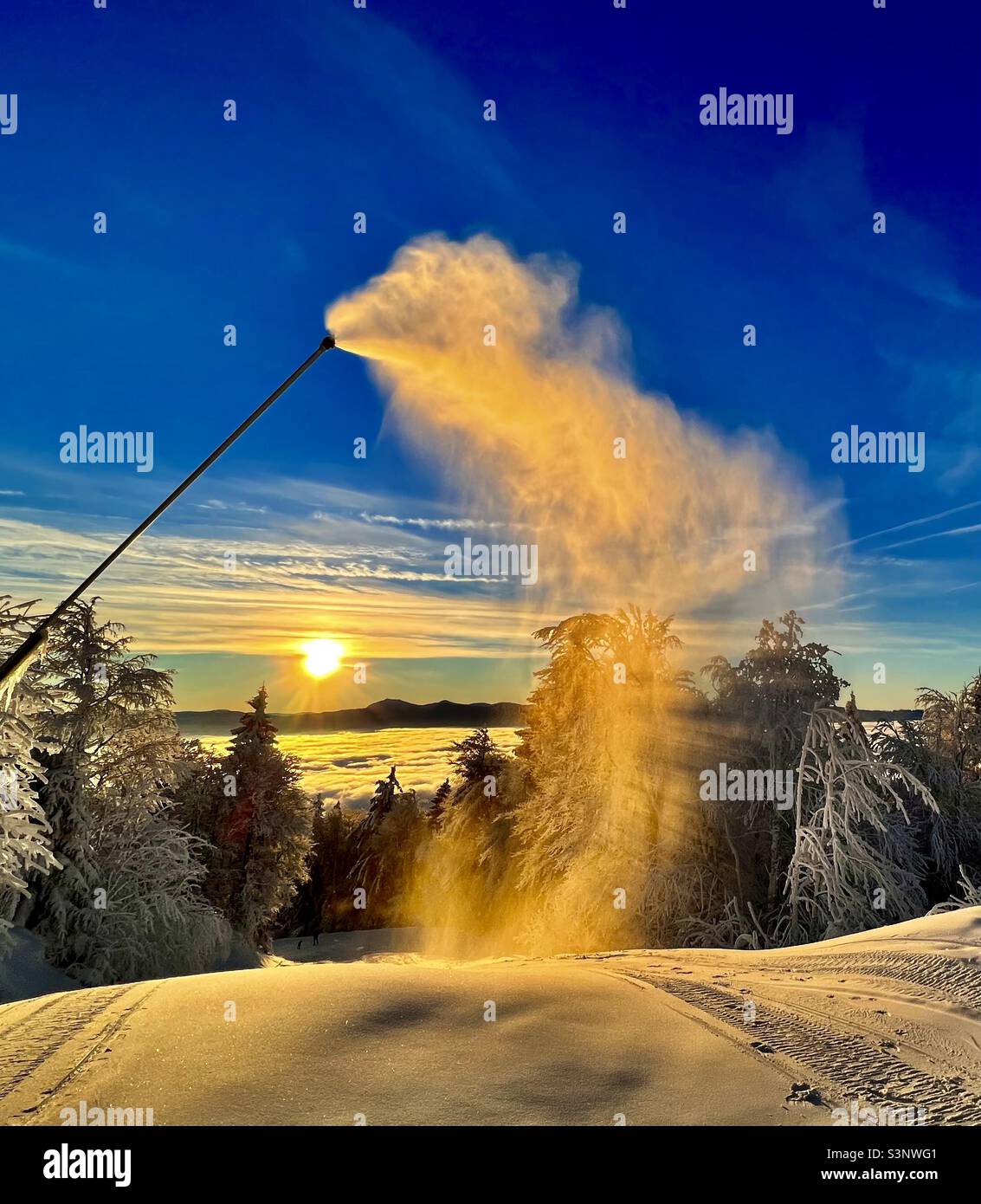 Schneekanone im Sonnenaufgang Foto de stock