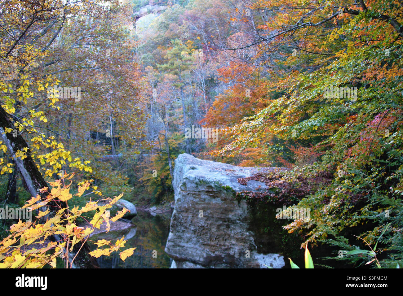 Colores otoñales en Red River Gorge Kentucky. Foto de stock