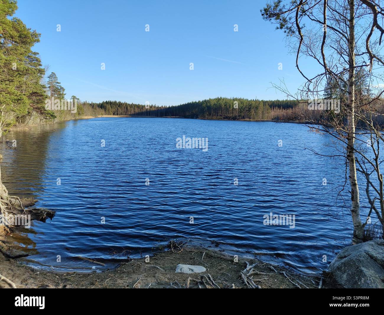 Lago Gullvagnen, Kolmården, Östergötland, Suecia Foto de stock