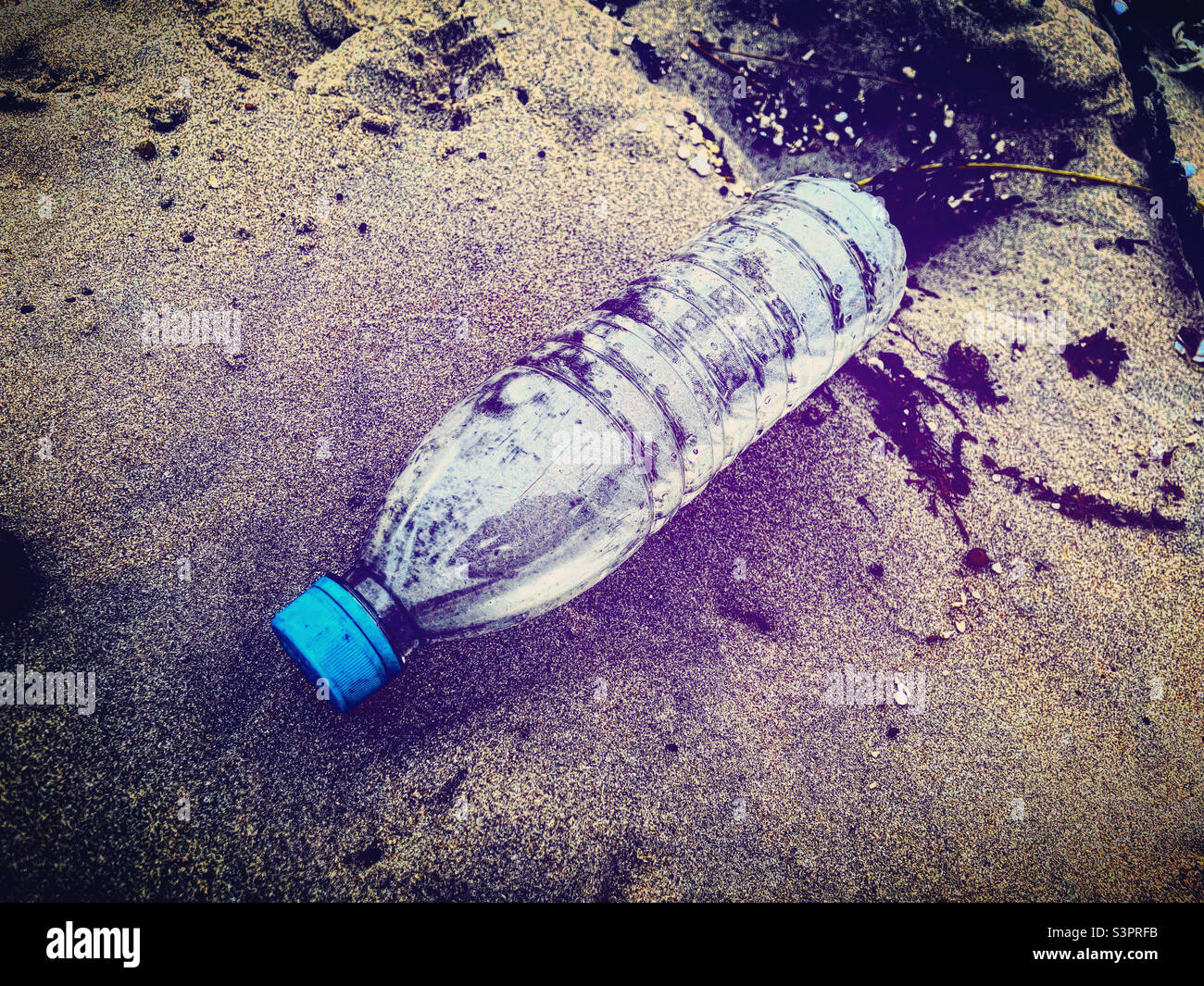 polución de botellas de plástico de agua de basura en naturaleza Foto de stock