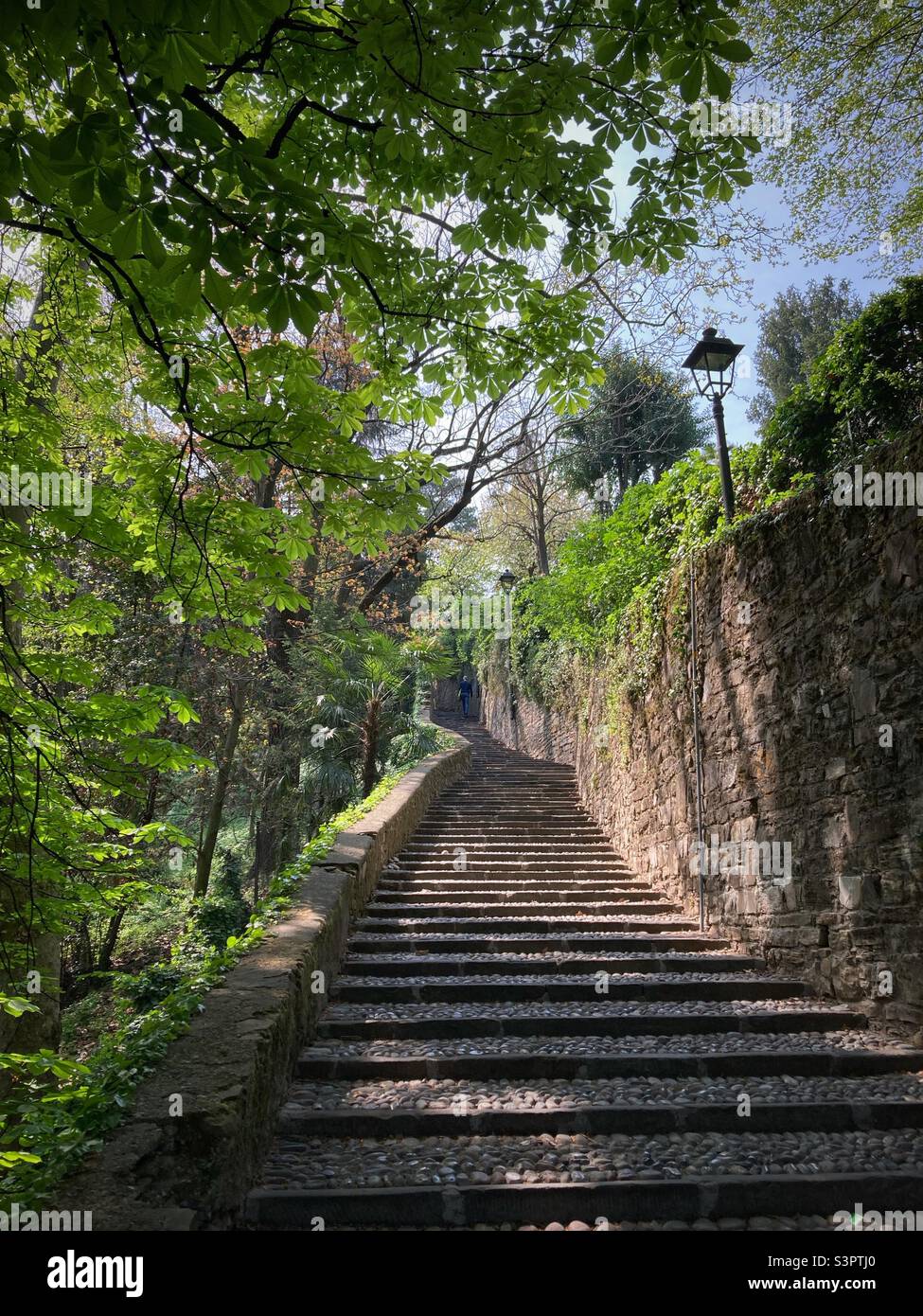 Escaleras en el exterior de la antigua muralla de Bérgamo que conducen a la ciudad antigua en primavera, Bérgamo, Lombardía, Italia Foto de stock