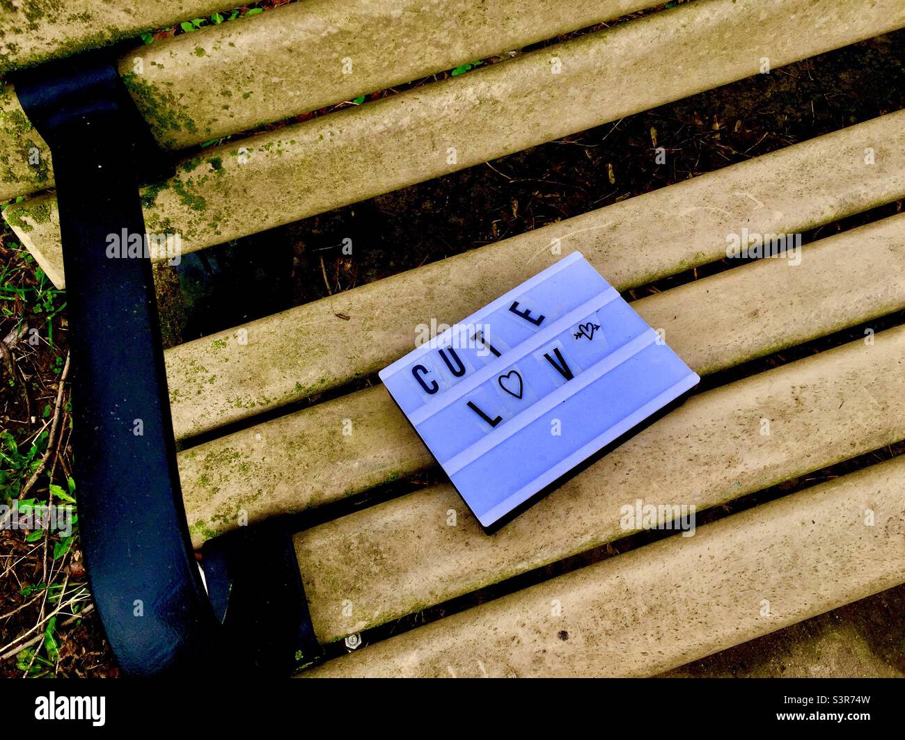 Lindo signo de amor en un banco del parque. Un mensaje directo en una caja de luz, Ontario, Canadá. Foto de stock