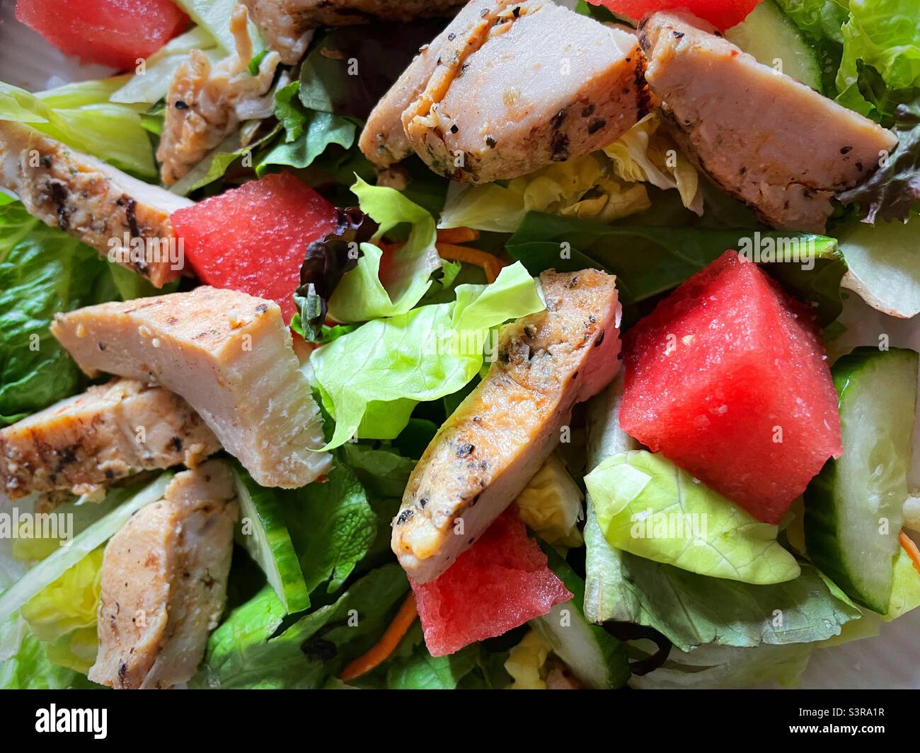 Primer plano de una ensalada de primavera fresca con pepino inglés, trozos  de sandía y trozos de pollo, 2022, Estados Unidos Fotografía de stock -  Alamy